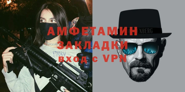 прущие грибы Аркадак