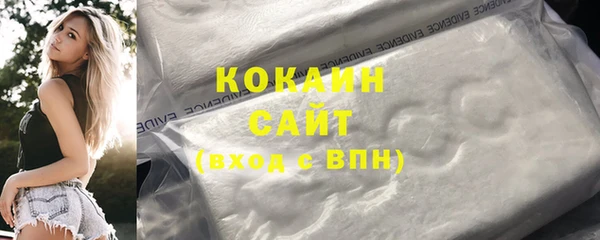 прущие грибы Аркадак