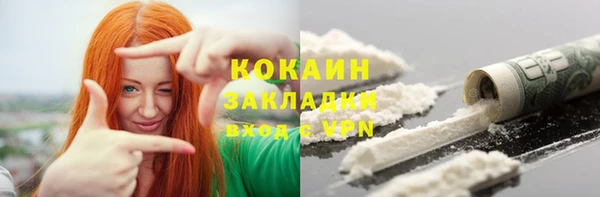 прущие грибы Аркадак
