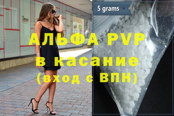 прущие грибы Аркадак