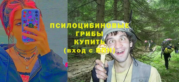 прущие грибы Аркадак